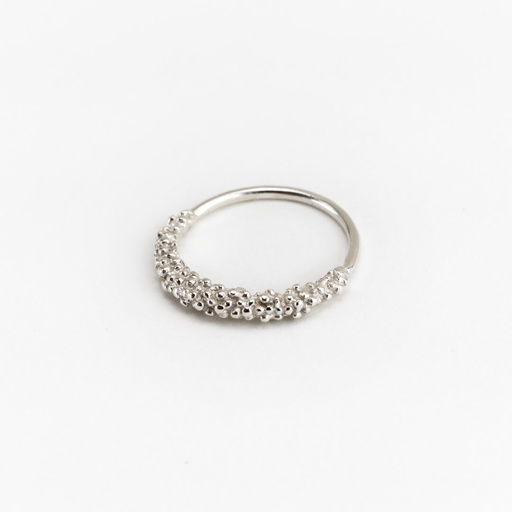 Ring CORA 01
